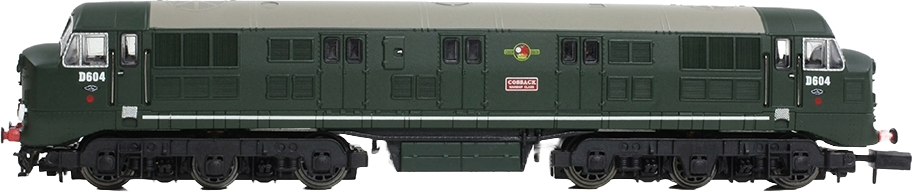 EFE Rail E84527 BR Class 41 Warship D604 Cossack Image